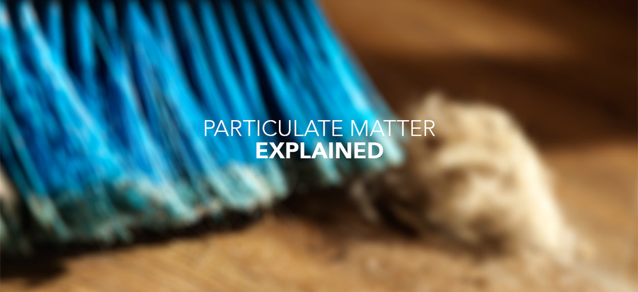 Particulate matter explained
