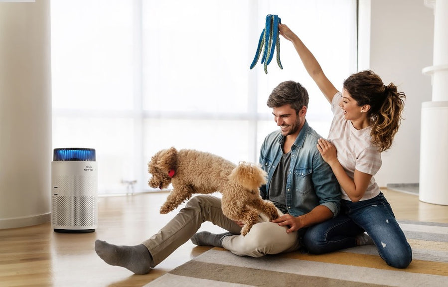 A family playing with their dog this summer near a Coway Airmega 100.