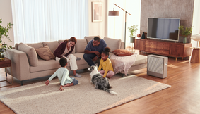 A family playing with their dog in a living room near an Airmega 250.