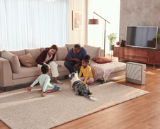 A family playing with their dog in a living room near an Airmega 250.