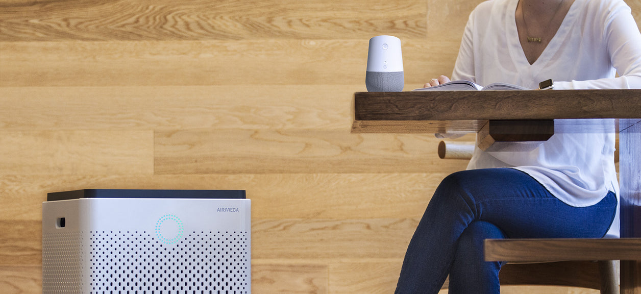 person sitting at table with google home and air purifier