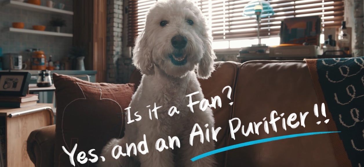 Is it a Fan? Yes and an Air Purifier!!