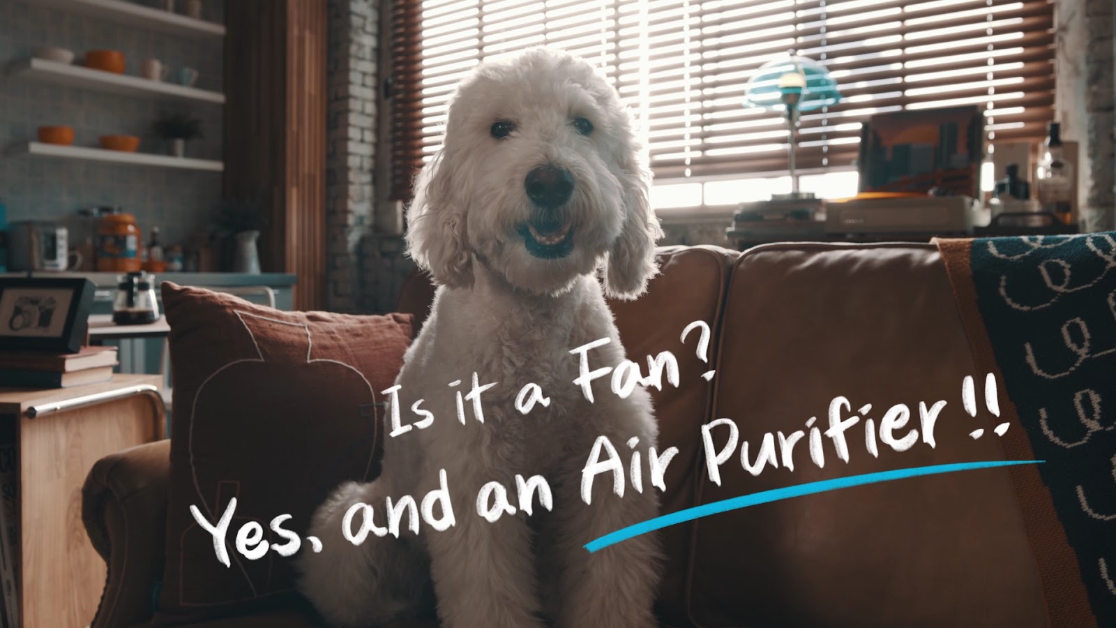 What Is The Best Air Purifier For Small Spaces? | Cowaymega
