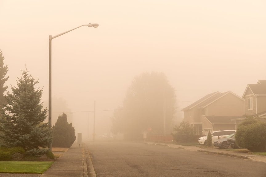 Wildfire season in a suburban neighborhood. 