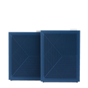 Airmega 160 Bundle