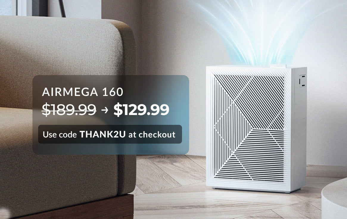 airmega 160 sale promotion