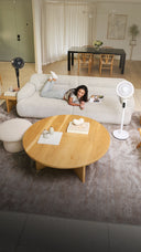 <h3><strong>New Airmega P50 Fan</strong></h3>