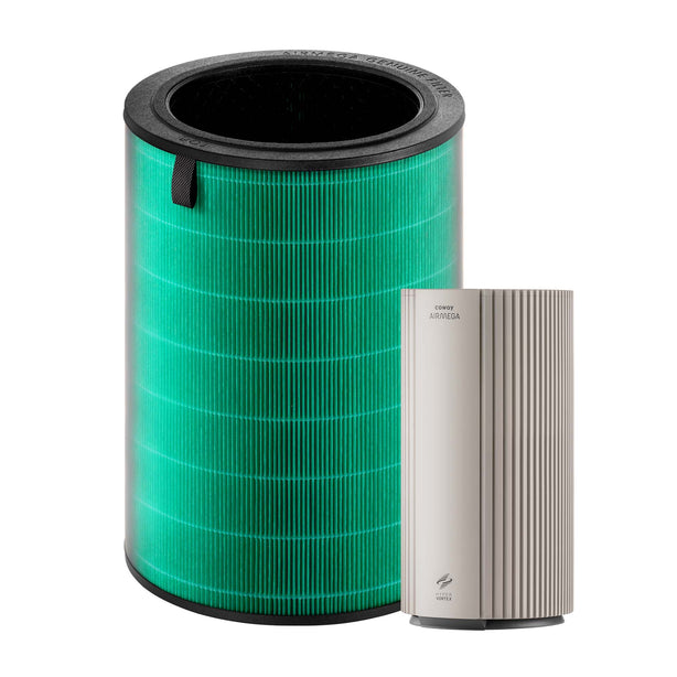 Airmega 450 Filter