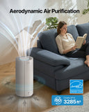 Airmega 450 Bundle Package