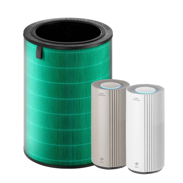 Airmega 450 Filter
