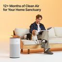 12+ months of clean air without a filter change