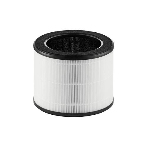 Airmega 100 Filter Front View Image