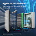 Airmega 230 & 240 Max2 Filter