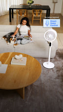 <h3><strong>New Airmega P50 Fan</strong></h3>