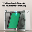 Airmega 150 & 160 Filter Set