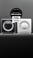 <h3>A decade of excellence</h3>