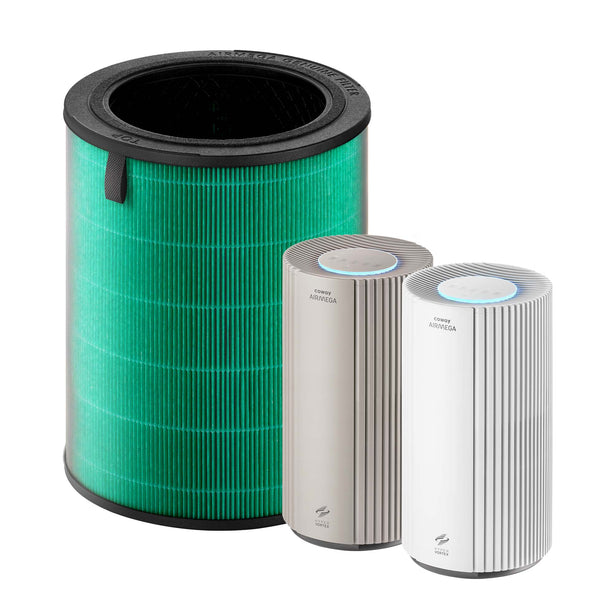 Airmega 350 Filter