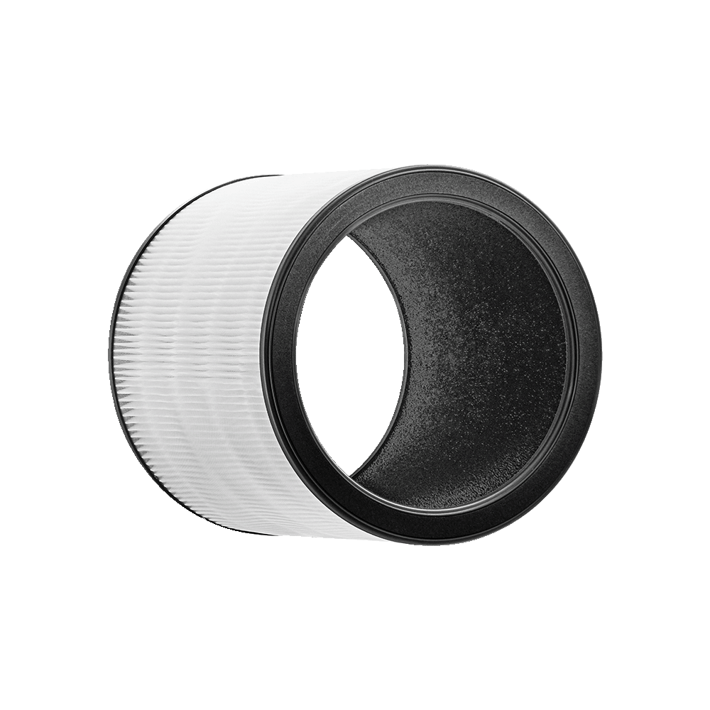 Airmega Aim Filter – Cowaymega