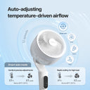Airmega Pedestal Fan P50