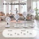 Airmega Pedestal Fan P50