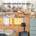 Airmega Pedestal Fan P50