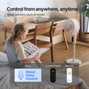 Airmega Pedestal Fan P50